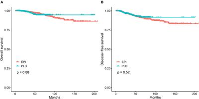 Pegylated Liposomal Doxorubicin Versus Epirubicin as Adjuvant Therapy for Stage I–III Breast Cancer